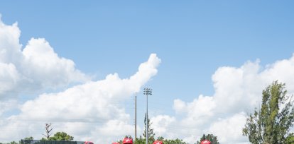 . Las selecciones de República Dominicana