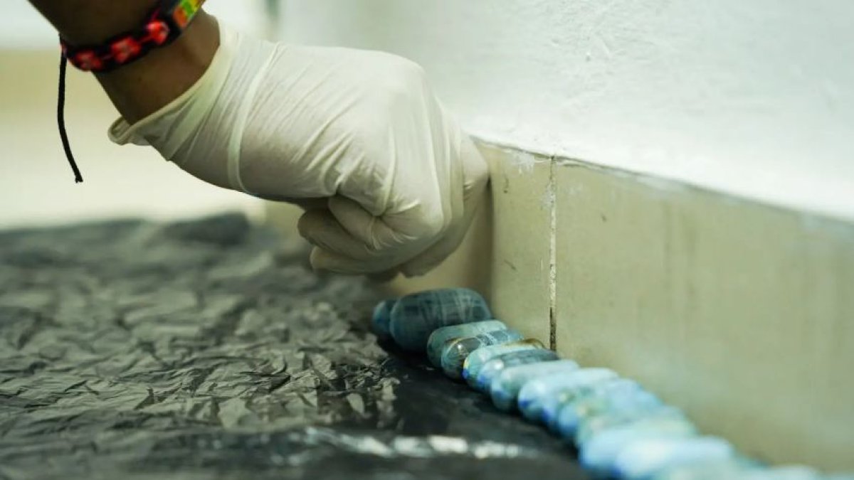 75 cápsulas de cocaína llevaba en el estómago un francés detenido en ...