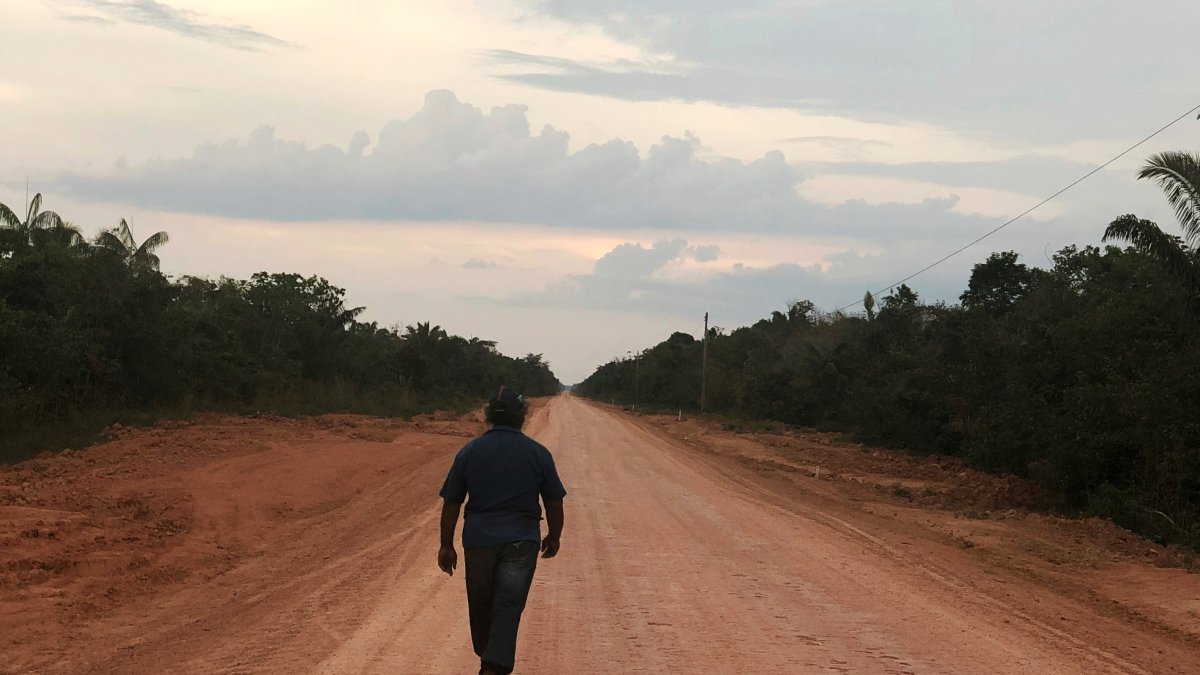 Brasil avanza en carretera que cruza la Amazonia y enciende alarmas por deforestación