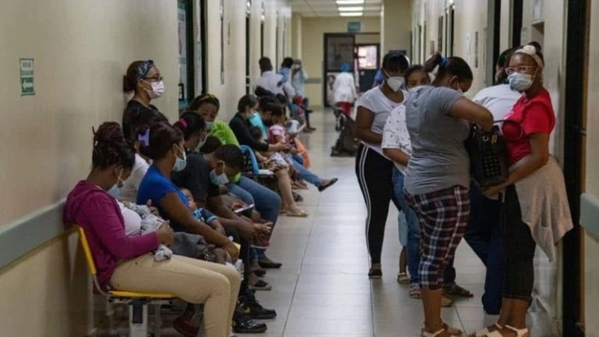 Leptospirosis en aumento: 115 casos confirmados en solo cinco meses