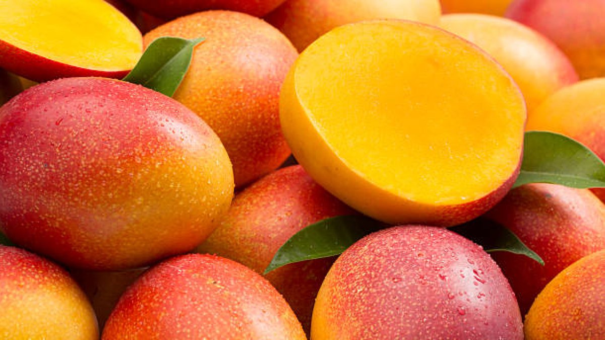 Vaticina exportaciones de mango superarán 60 millones de dól