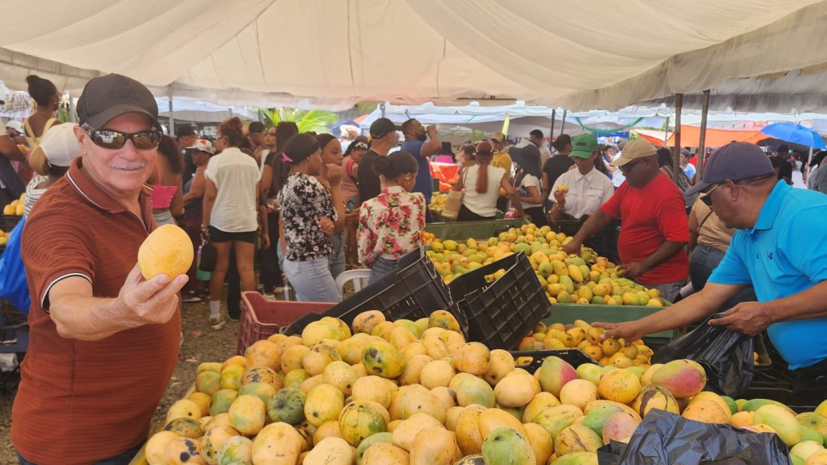 Productores de mango plantean industrializar la fr