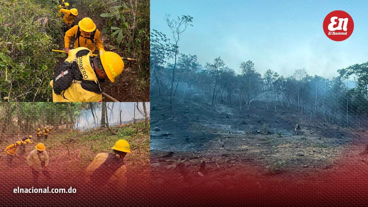 Más de 40 bomberos controlan incendio forestal en 