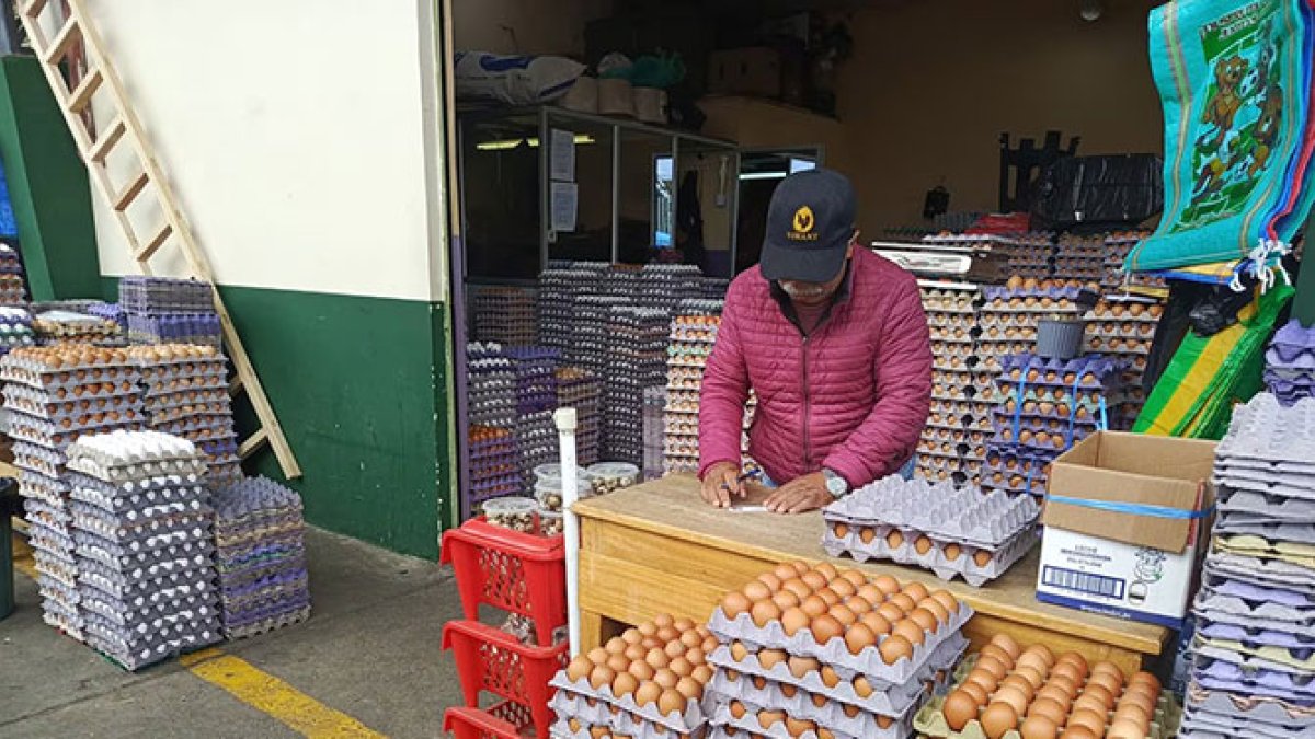 La industria avícola dominicana produce 14 millones de huevo
