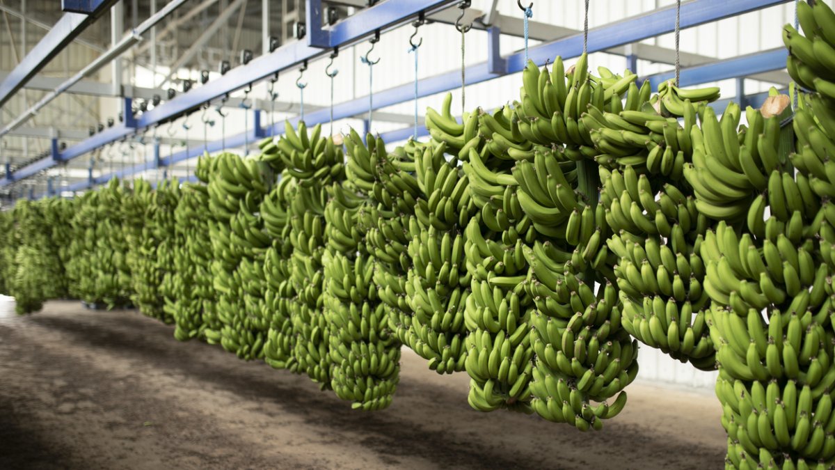 ¿Eres exportador? Gobierno presenta proyecto que busca hacer