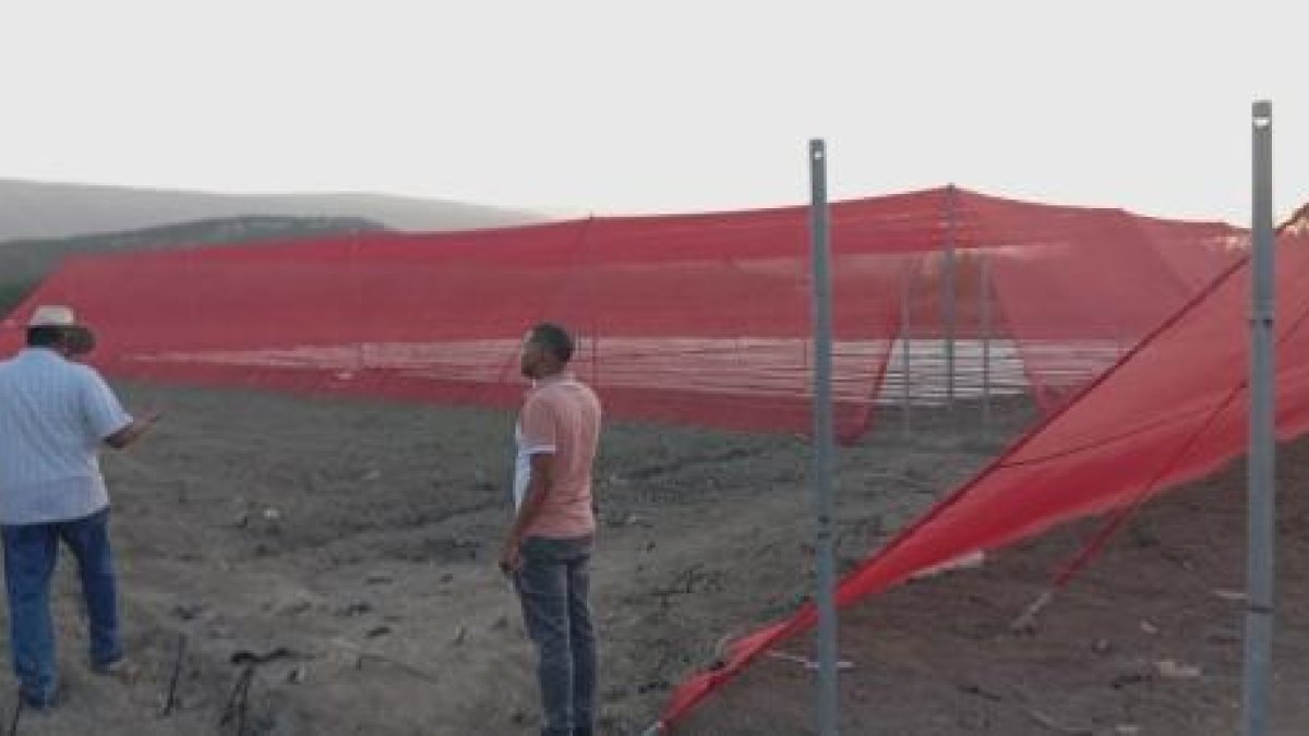Agricultores preparan tierras en Mella para abastecer turismo en Pedernales