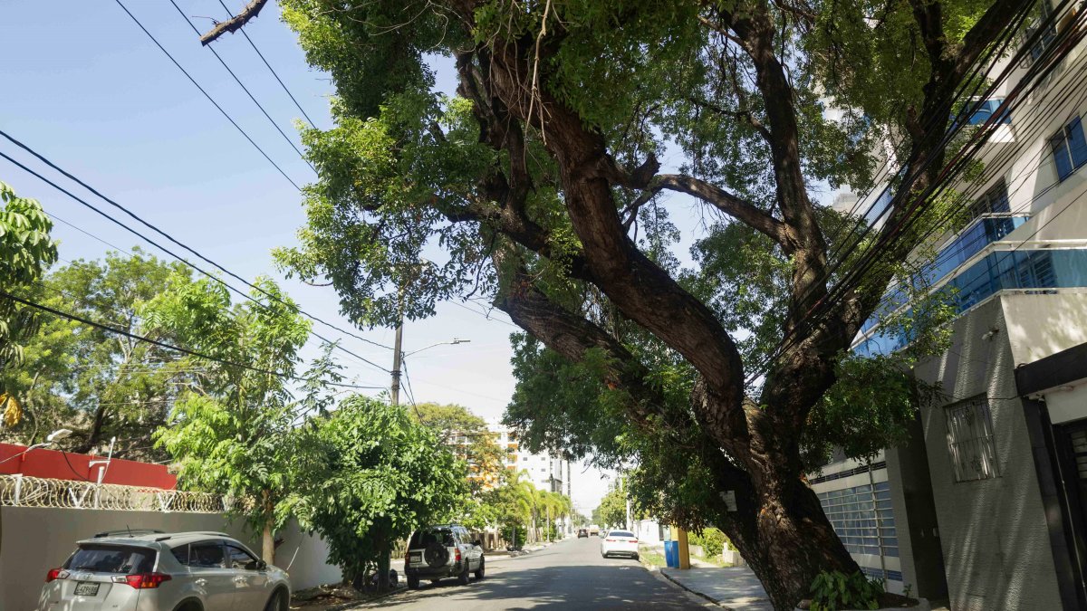 Áreas verdes urbanas reducen calor y mejoran calidad de vida