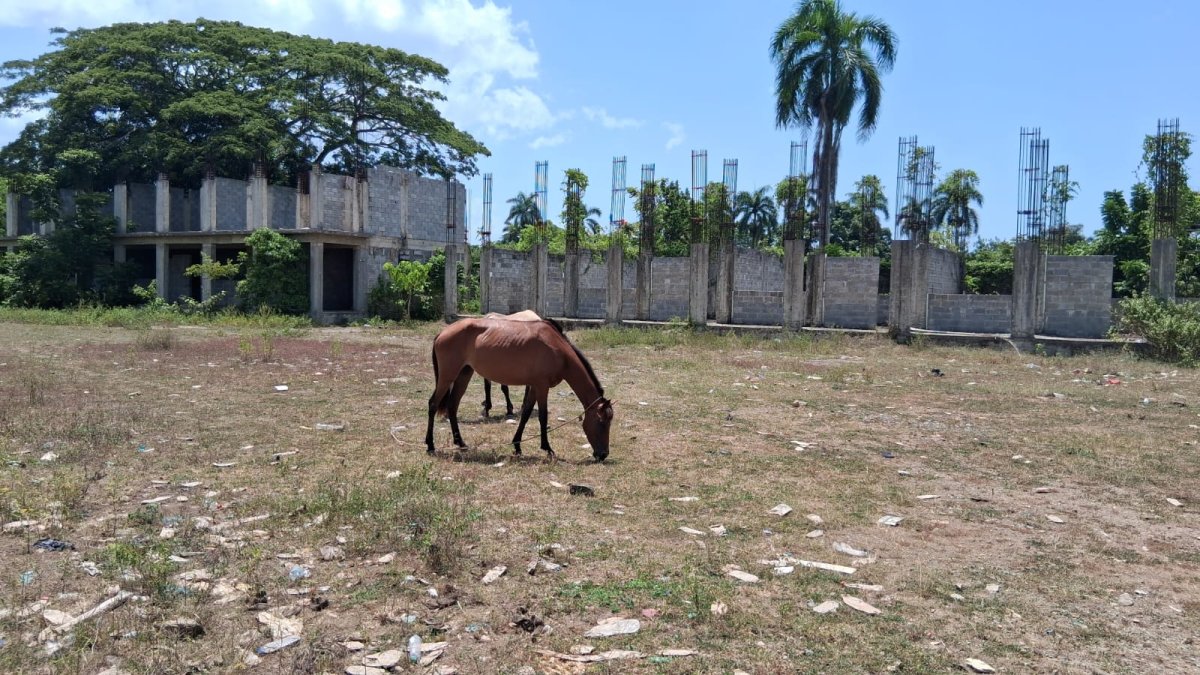Profesores exigen terminar escuelas abandonadas hace 12 años