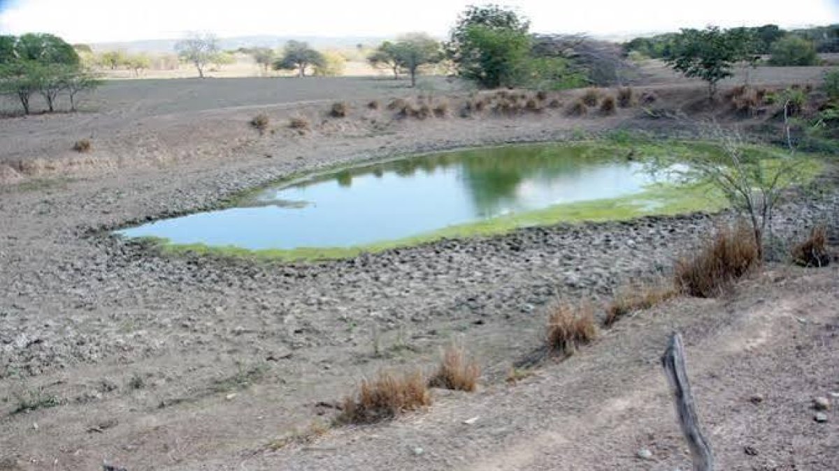 Sequía en RD afecta cultivos y reduce lluvias en julio