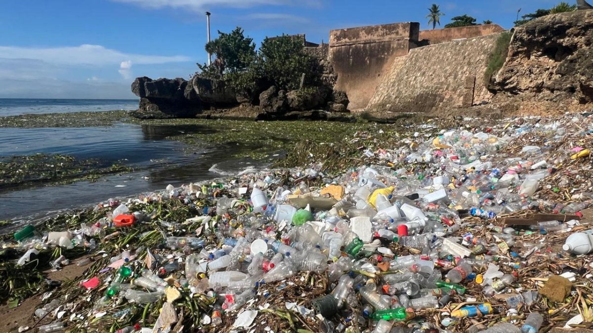 La trampa natural que atrapa la basura que arrastra el río Ozama hacia ...