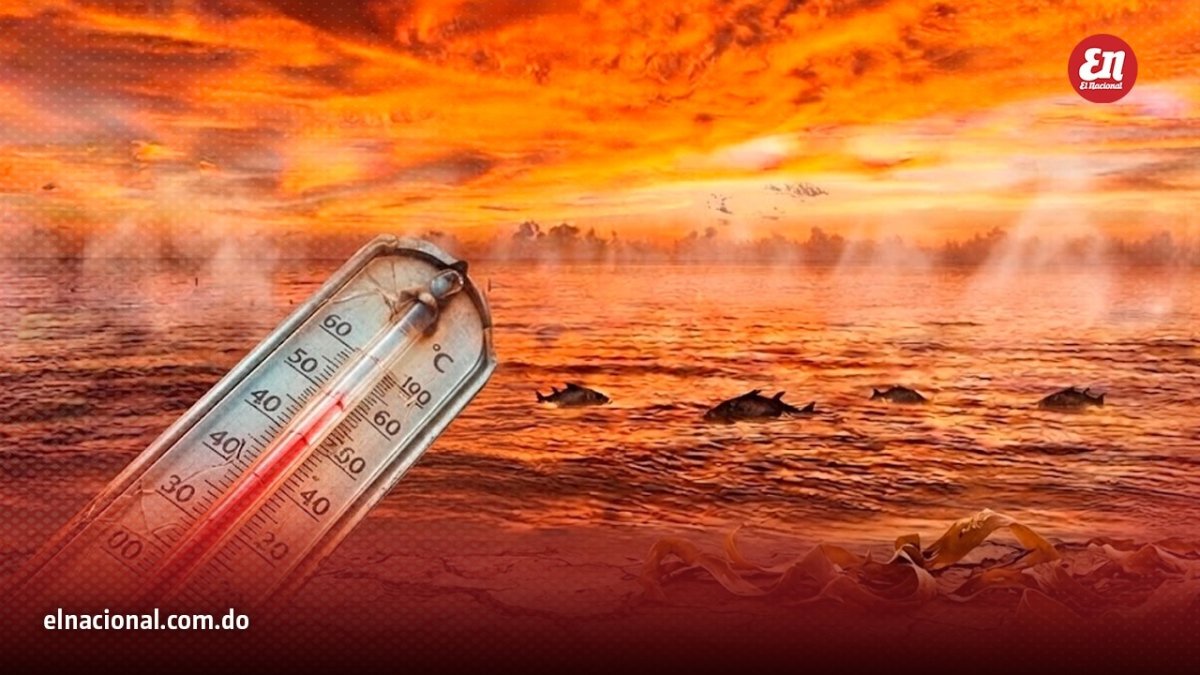 Estudio confirma en agosto se registraron las temperaturas récord a nivel mundial