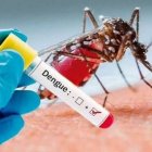 Los casos de dengue aumentaron un 20 %.