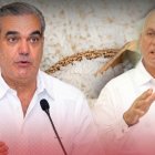 Marcha en Nagua este domingo por el arroz nacional: productores exigen revisar la política de importaciones