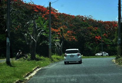 A todo lo largo de la avenida Iberoamericana el verdor, el color de la primavera y el aire que proviene del mar Caribe te acompañan siempre. Jorge González
