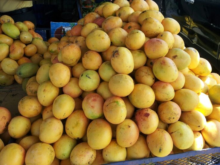 Feria Expo Mango