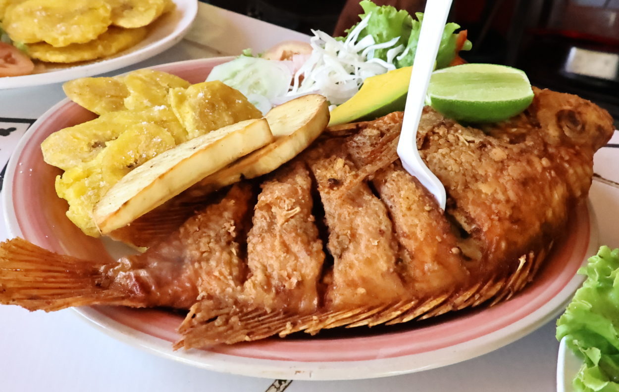 Pescado estilo Boca Chica servido con tostones y camotes fritos como guarnición. Foto de : Francisco Francisco