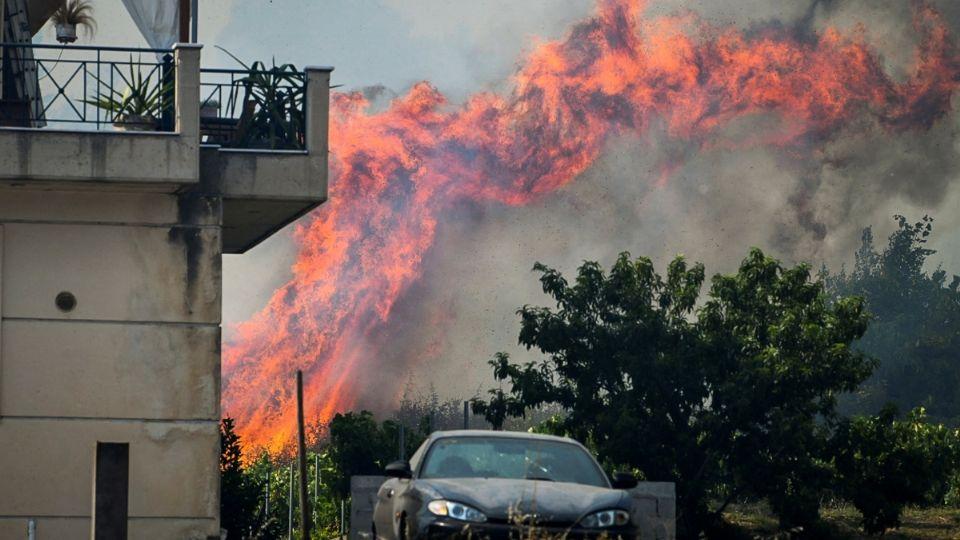 Cambio climático inducido por el hombre está detrás de olas de calor, según estudio