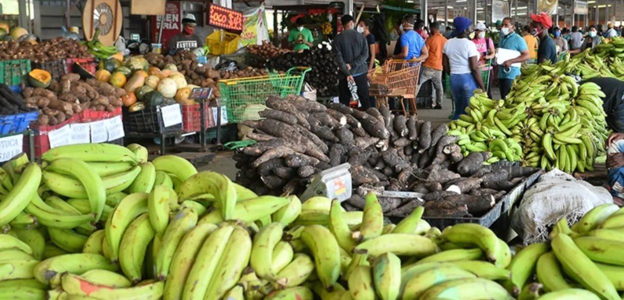 Un plátano de calidad cuesta entre 35 y 40 pesos la unidad en mercados y supermercados.