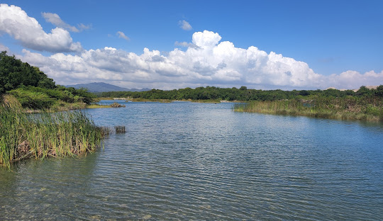 COE prohíbe bañarse en río Nizao