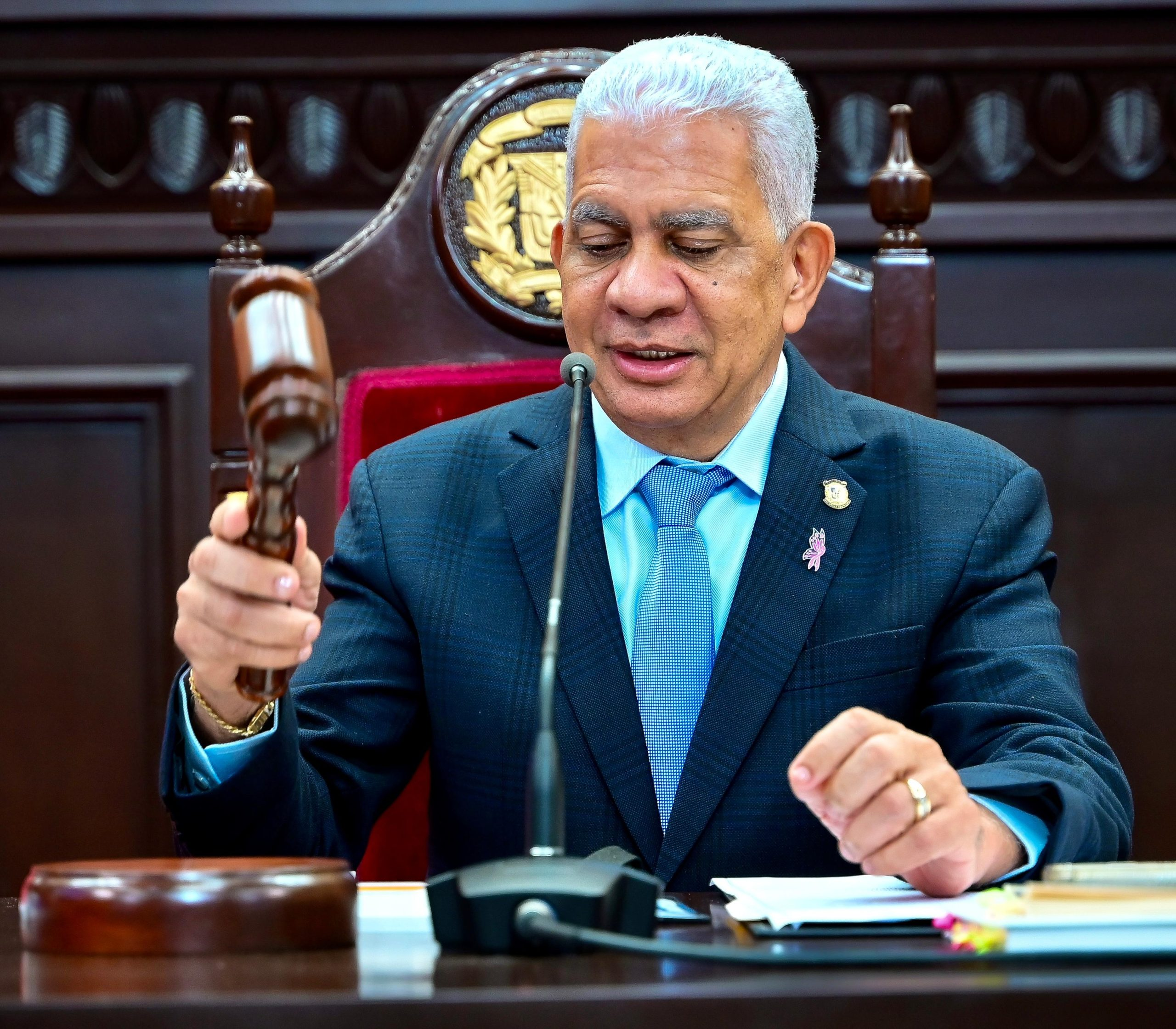 El presidente del Senado, Ricardo de los Santos.