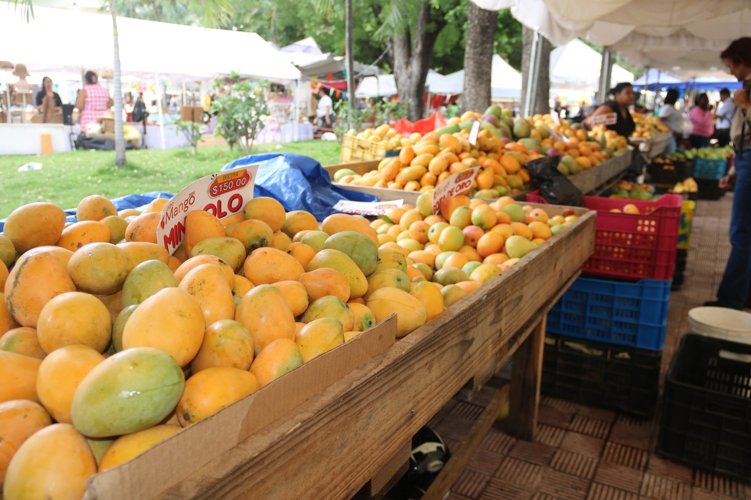 Expo Mango 2026