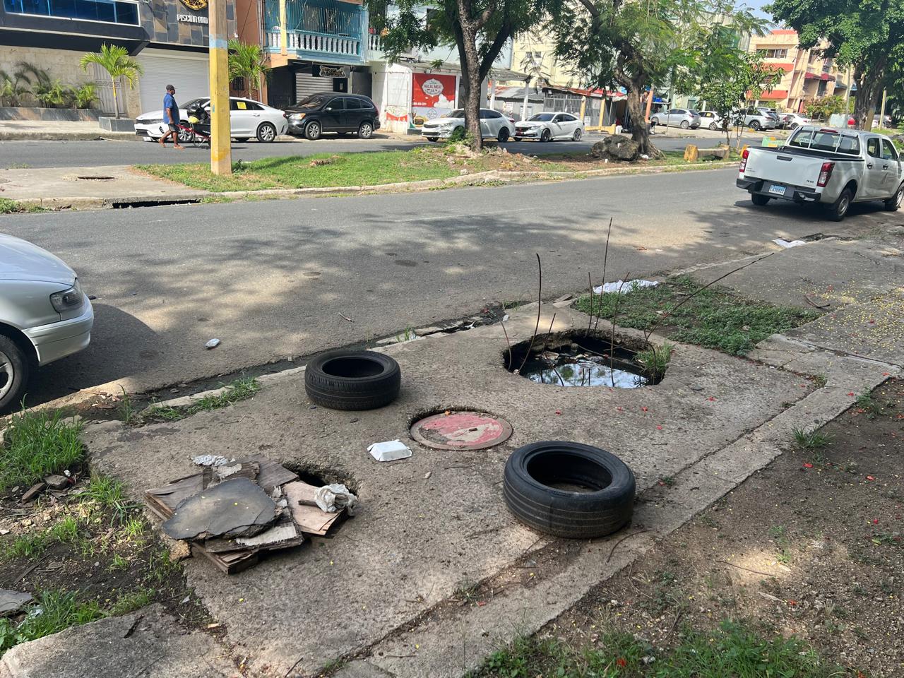 Hay lugares donde los agujeros forman una especie de trampa para los animales. En el medio, un cachorro recién nacido gimió desesperadamente hasta que fue rescatado.
