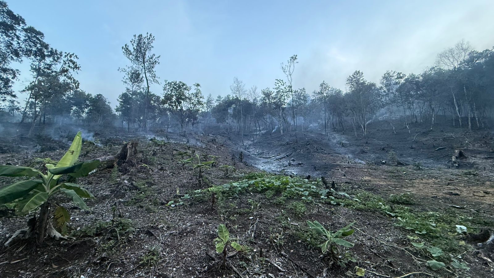 Foto del incendio forestal en la zona de Bonao