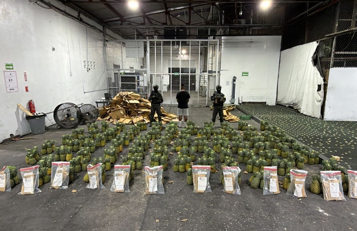 El cargamento de piña, en el que en la caja se escondían 121 hojas de cocaína.
