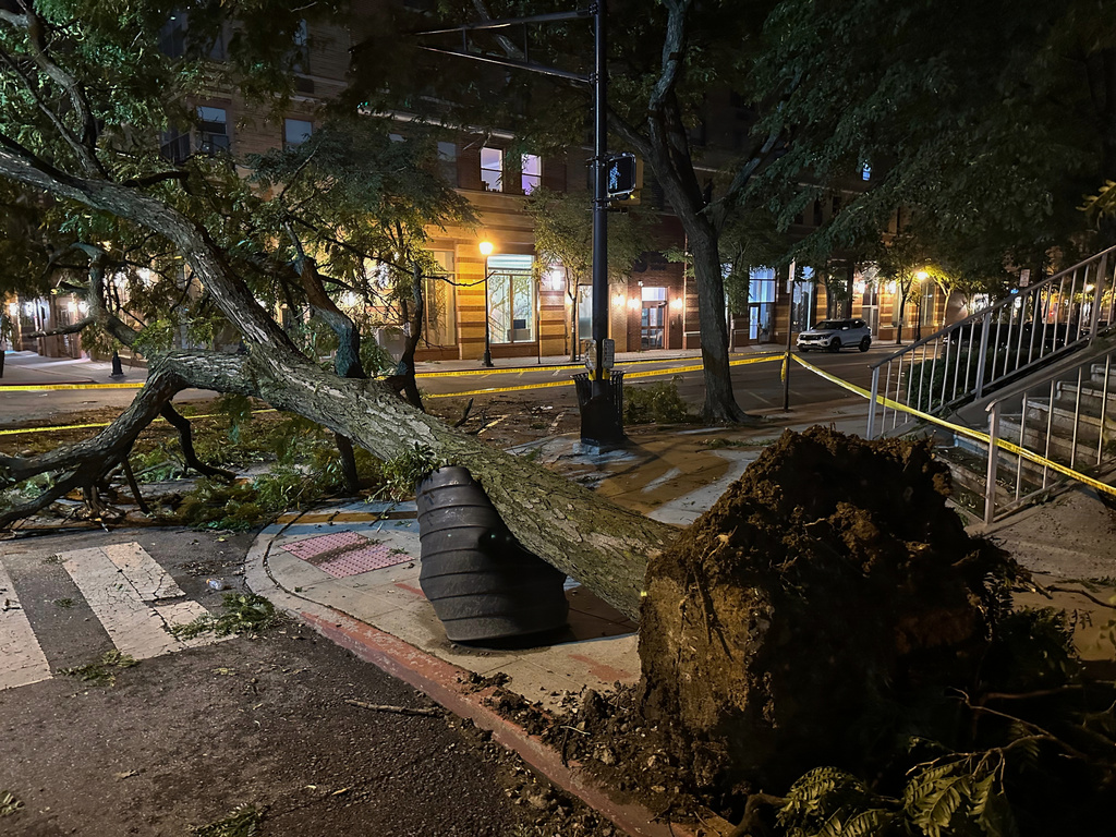 Un árbol arrancado de raíz por una poderosa tormenta se ve rodeado por cinta policial la madrugada del sábado 4 de julio de 2026 en Hoboken, Nueva Jersey. (Foto AP/Larry Neumeister)