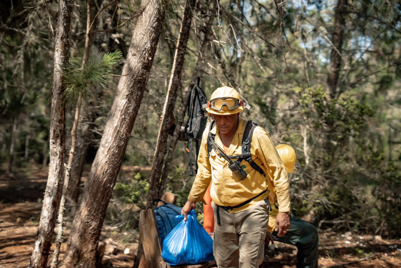 Apagan incendios en la Sierra de Bahoruco