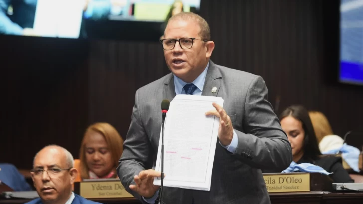 Portavoz de la Fuerza del Pueblo en la Cámara de Diputados, Rafael Castillo.