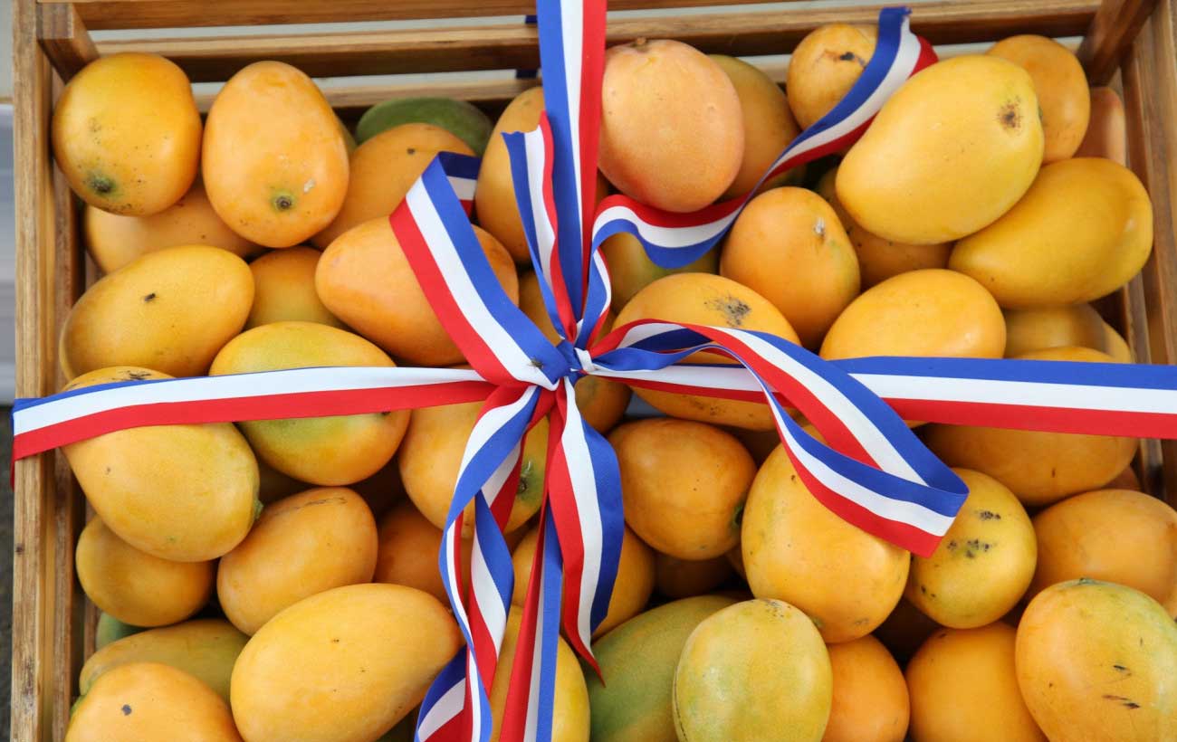 Los mangos dominicanos ahora tienen prohibida la entrada a Estados Unidos.