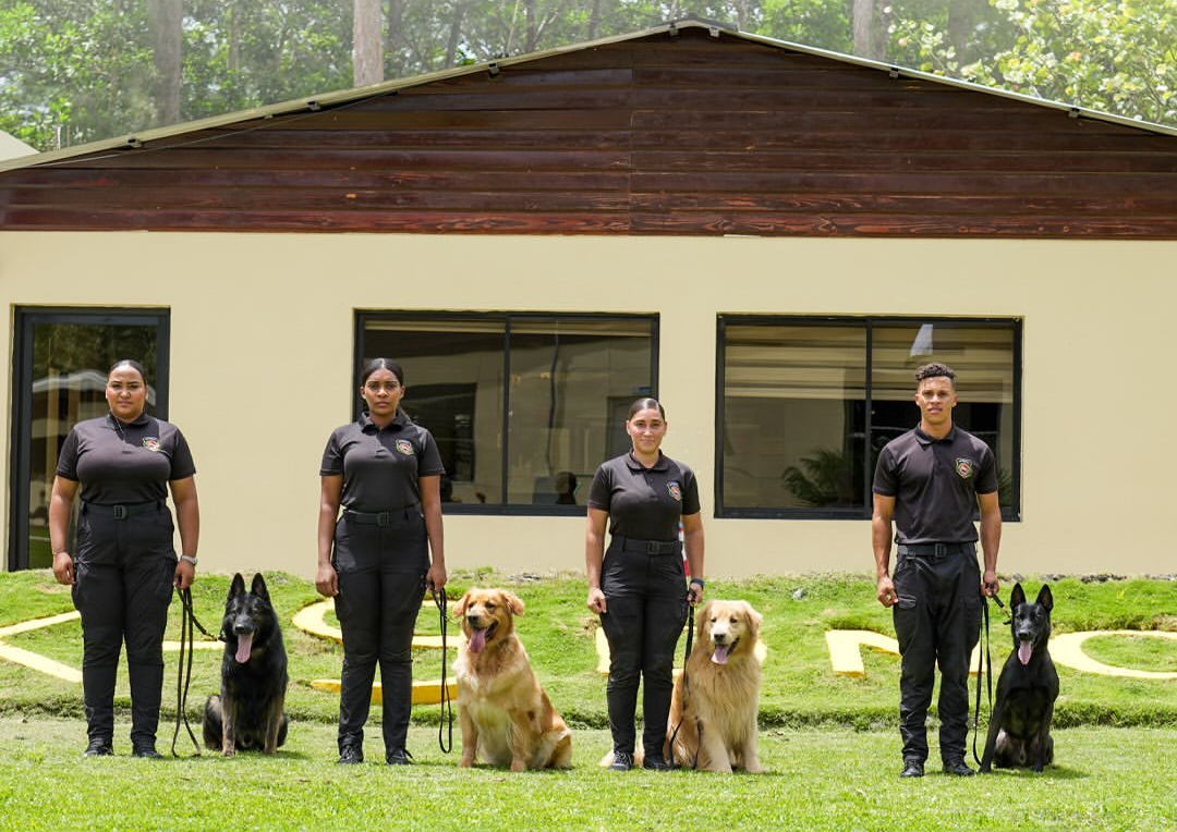 La DNCD presentó en el Día Mundial del Perro cuatro perros especializados en la detección de sustancias ilegales.