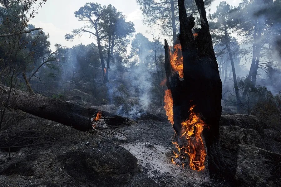 Zona quemada en el entorno del embalse de El Burguilo por incendio con origen en Burgohondo (Ávila).