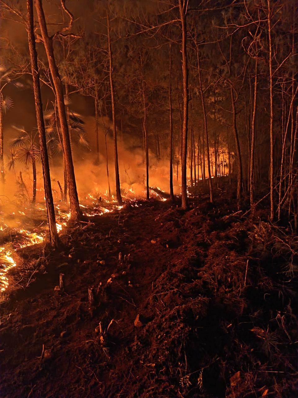 Bomberos forestales mantienen vigilancia sobre los puntos calientes que persisten en la zona de Pelempito-Aceitillar tras quedar bajo control el incendio.