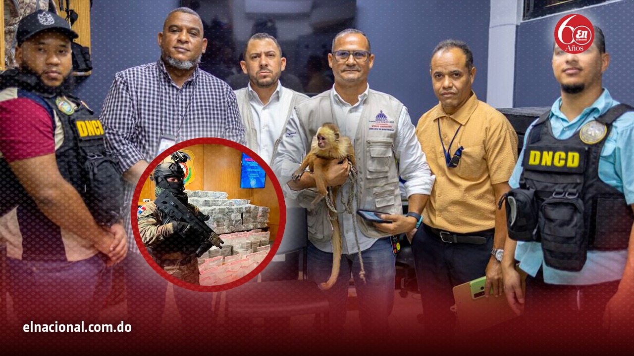 El mono narco fue transportado desde Colombia con un cargamento de droga