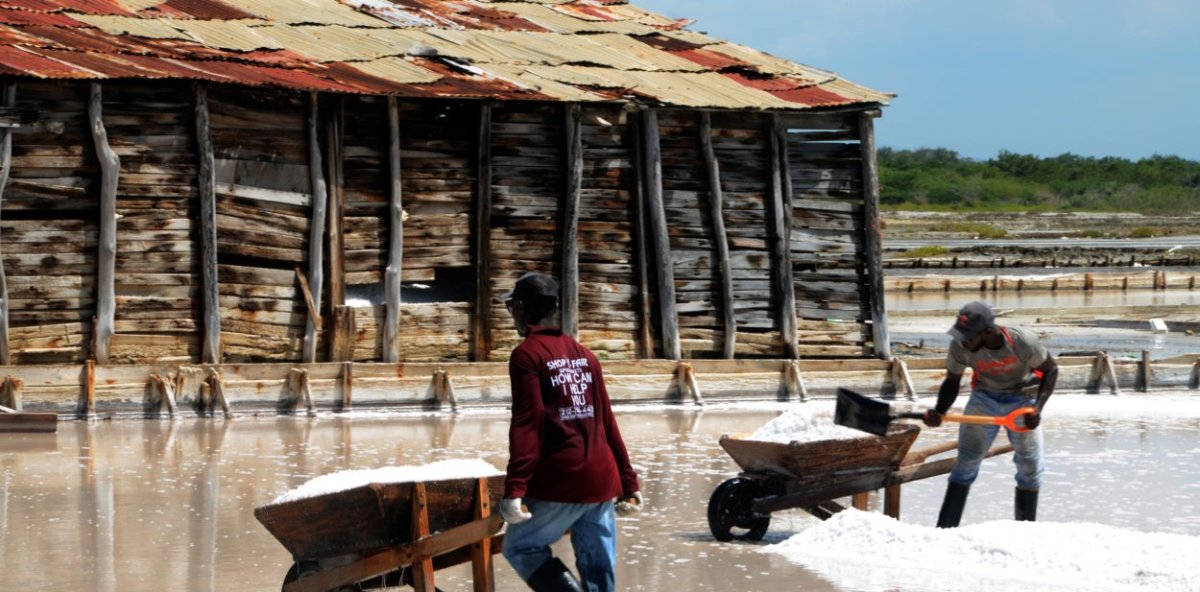 Hombres trabajan en la recoleccion de la sal en Montecristi.