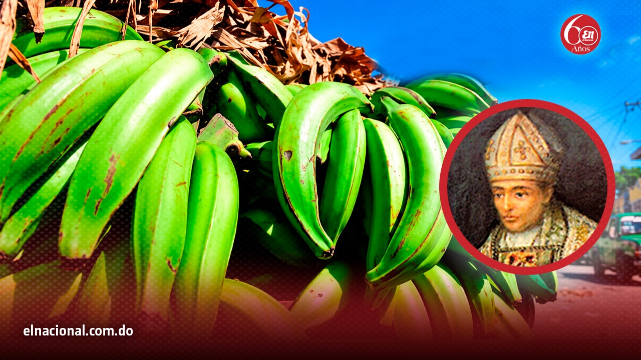 La historia del plátano no se cuenta solamente a través de fechas y lugares. También se encuentra en las manos de quienes lo cultivan.