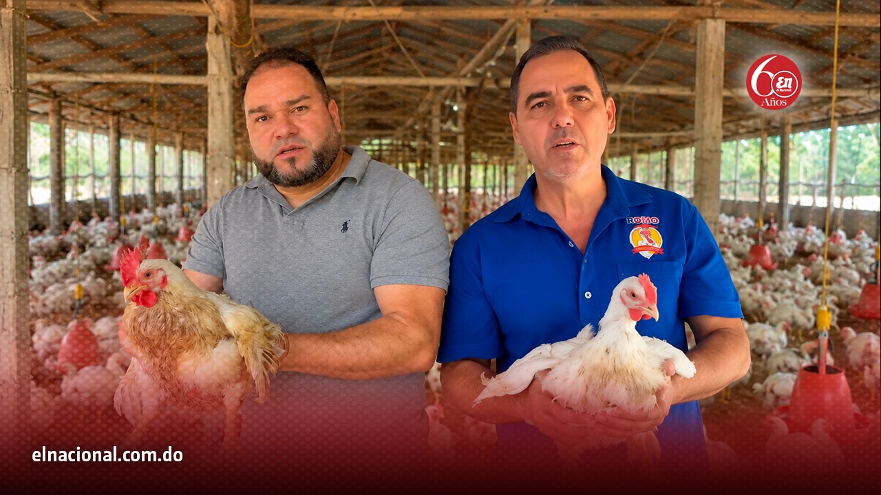 Productores de pollo demandan acciones del Gobierno ante importaciones.