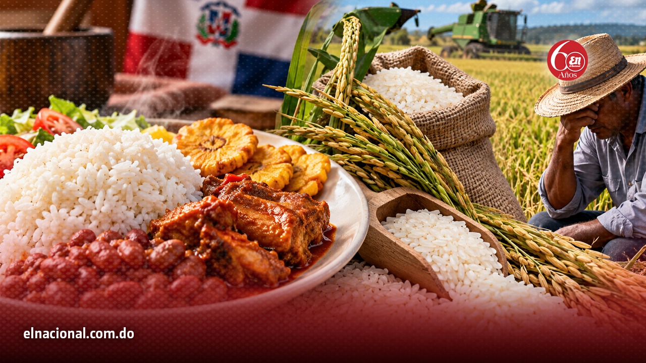 El arroz es el producto del mayor consumo en República Dominicana